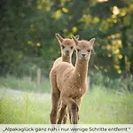 Daire Paco Fuer 12 Personen Mit Alpakas, Sauna & Kamin *