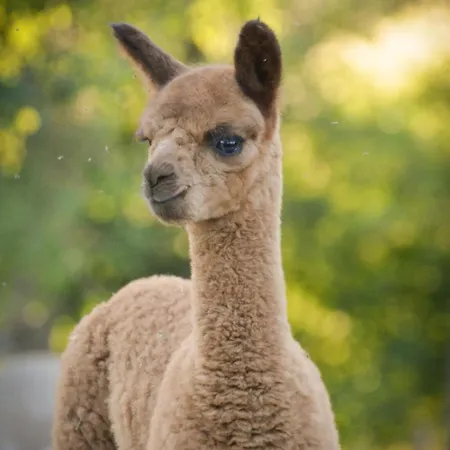 Paco Familienferien Mit Sauna Und Kamin Blaufelden